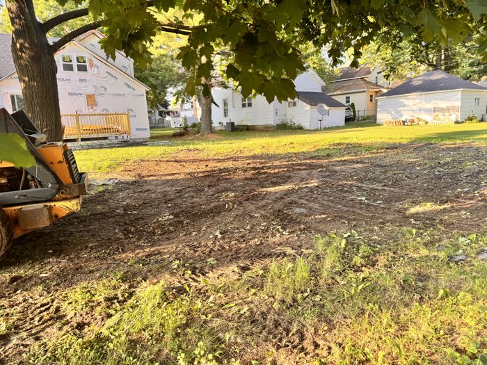 Graded yard with a skid steer parked beside the tree