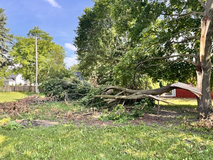 Broken limb and brush piled across the lawn