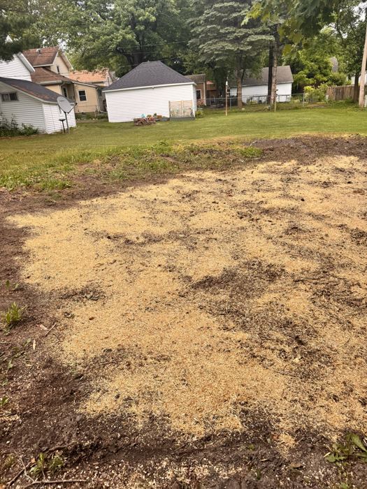 Freshly seeded area covered in straw